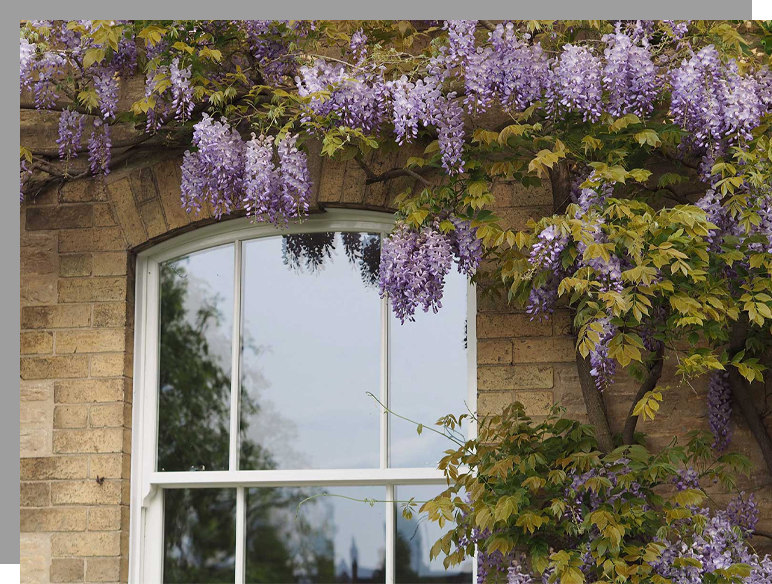 Slash Sash Windows Feature